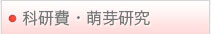 科研費・萌芽研究